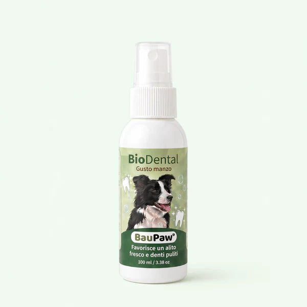 Spray Auriculaire BauPaw™ – Élimine les bactéries responsables du cérumen et des mauvaises odeurs chez le chien