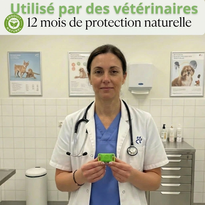 Spray Auriculaire BauPaw™ – Élimine les bactéries responsables du cérumen et des mauvaises odeurs chez le chien