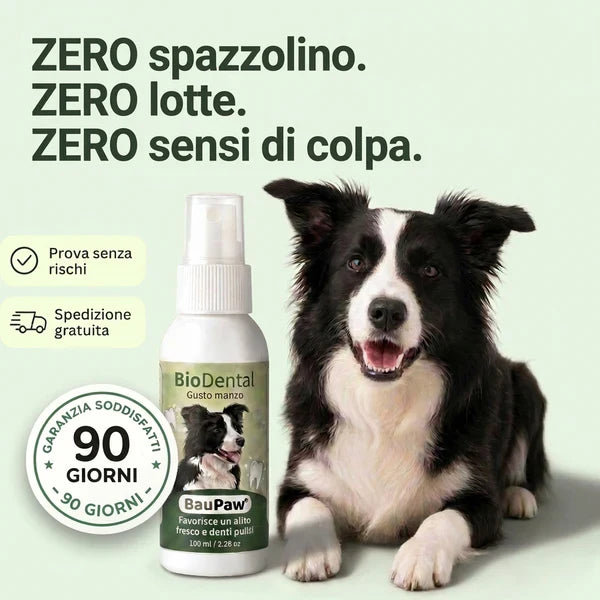 Spray Auriculaire BauPaw™ – Élimine les bactéries responsables du cérumen et des mauvaises odeurs chez le chien
