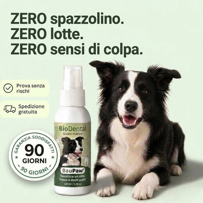 Spray Auriculaire BauPaw™ – Élimine les bactéries responsables du cérumen et des mauvaises odeurs chez le chien